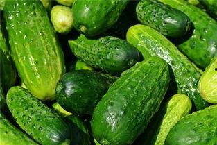 梦见分瓜吃瓜  第3张